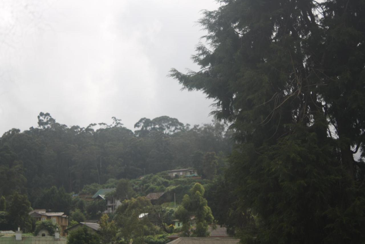 Dream Hill Homestay Nuwara Eliya Dış mekan fotoğraf