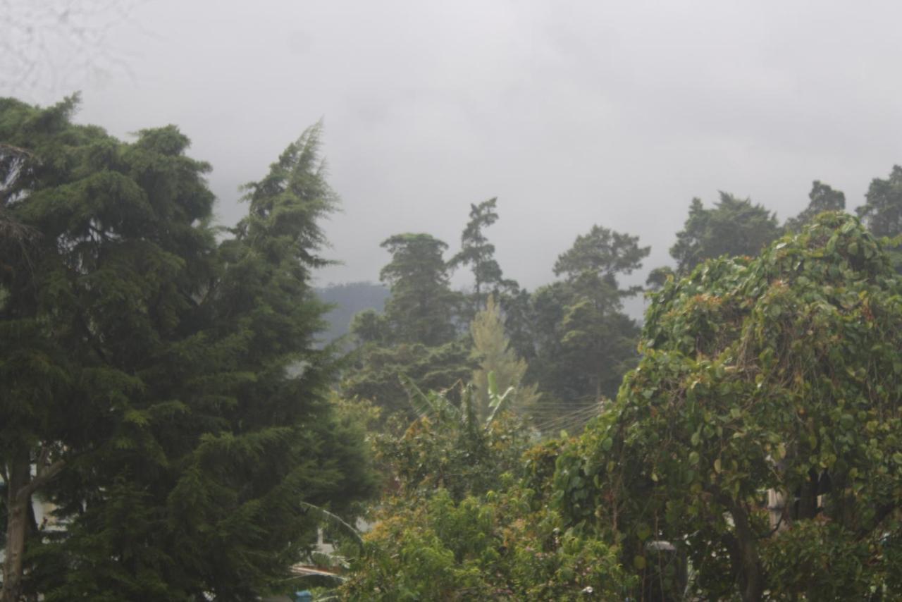 Dream Hill Homestay Nuwara Eliya Dış mekan fotoğraf