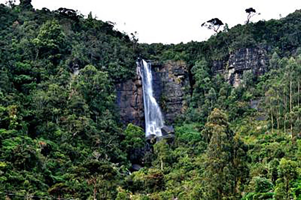 Dream Hill Homestay Nuwara Eliya Dış mekan fotoğraf