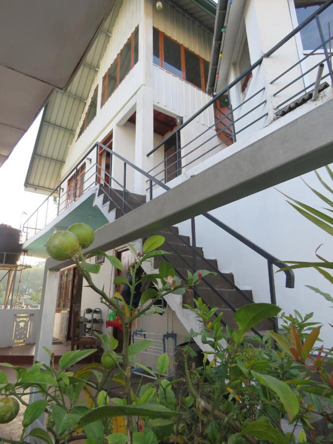 Dream Hill Homestay Nuwara Eliya Dış mekan fotoğraf