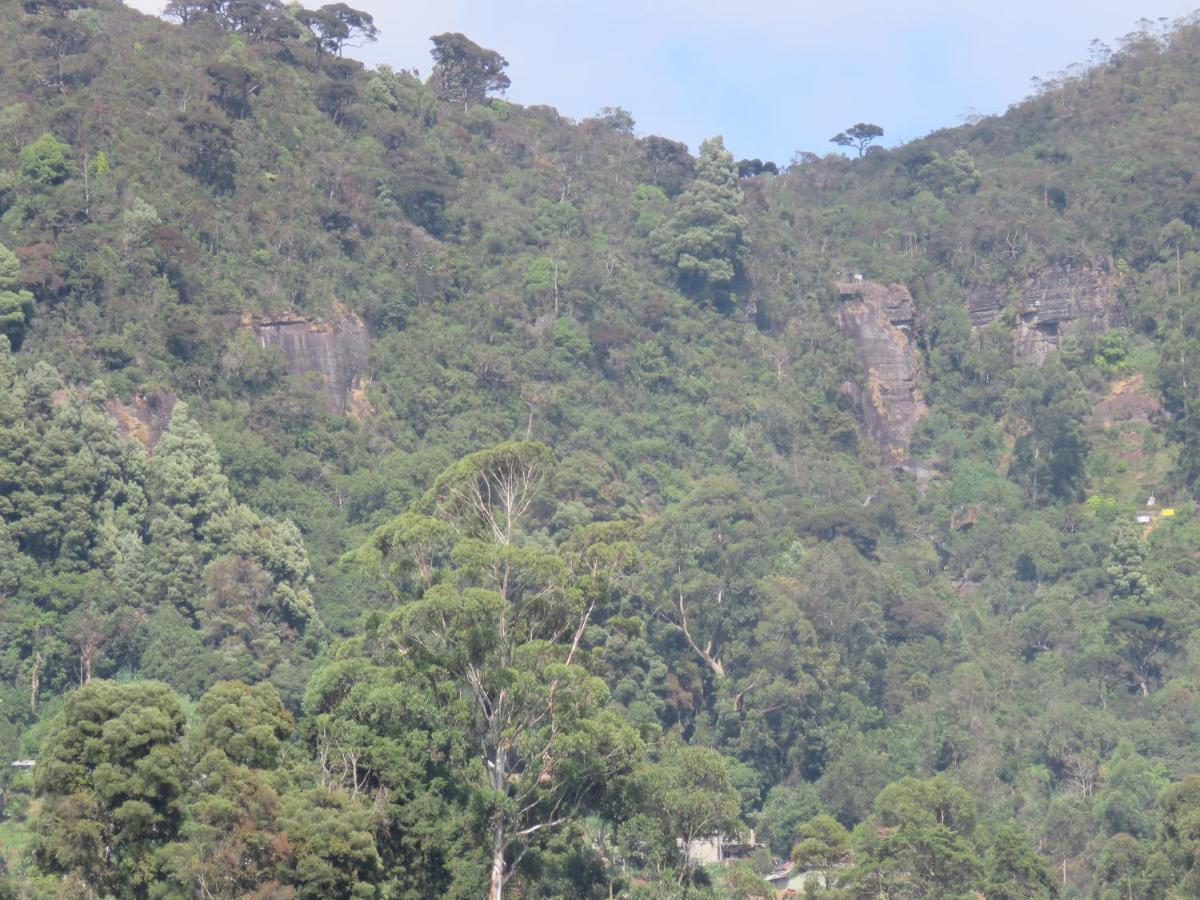 Dream Hill Homestay Nuwara Eliya Dış mekan fotoğraf